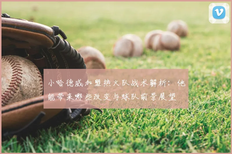 小哈德威加盟热火队战术解析：他能带来哪些改变与球队前景展望